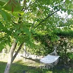 بيت للعطل Julia